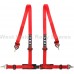 TRS Clubman 4 Point Road ECE Harness TRS Clubman 4 Point Road ECE Harness
