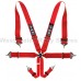 TRS Magnum 6 Point FIA Harness TRS Magnum 6 Point FIA Harness